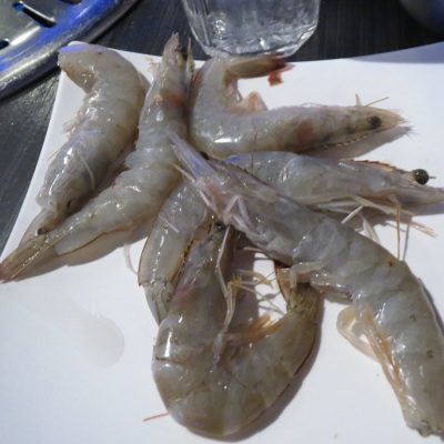 head-on-prawns